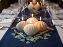 Seashell Candle – Decorative Coastal Home Decor & Gift Idea