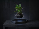 Levitating Plant Pot – Magnetic Floating Planter for Desk Decor
