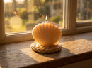 Seashell Candle – Decorative Coastal Home Decor & Gift Idea